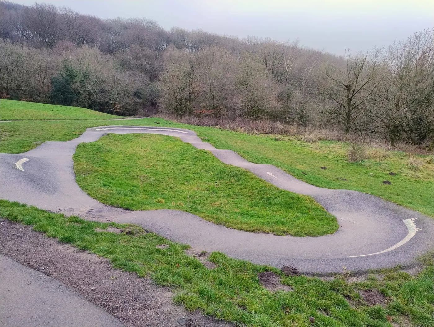 Bankswood Pump Track photo 4